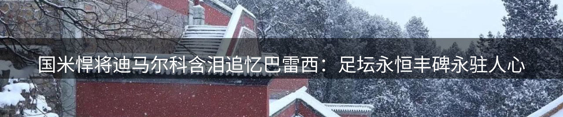 品牌资讯