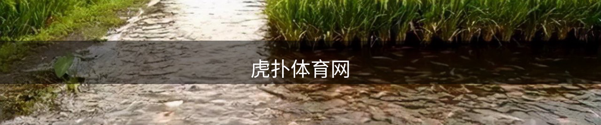 品牌资讯